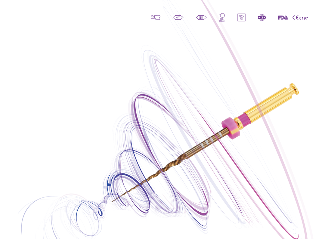 EzFile Main Image