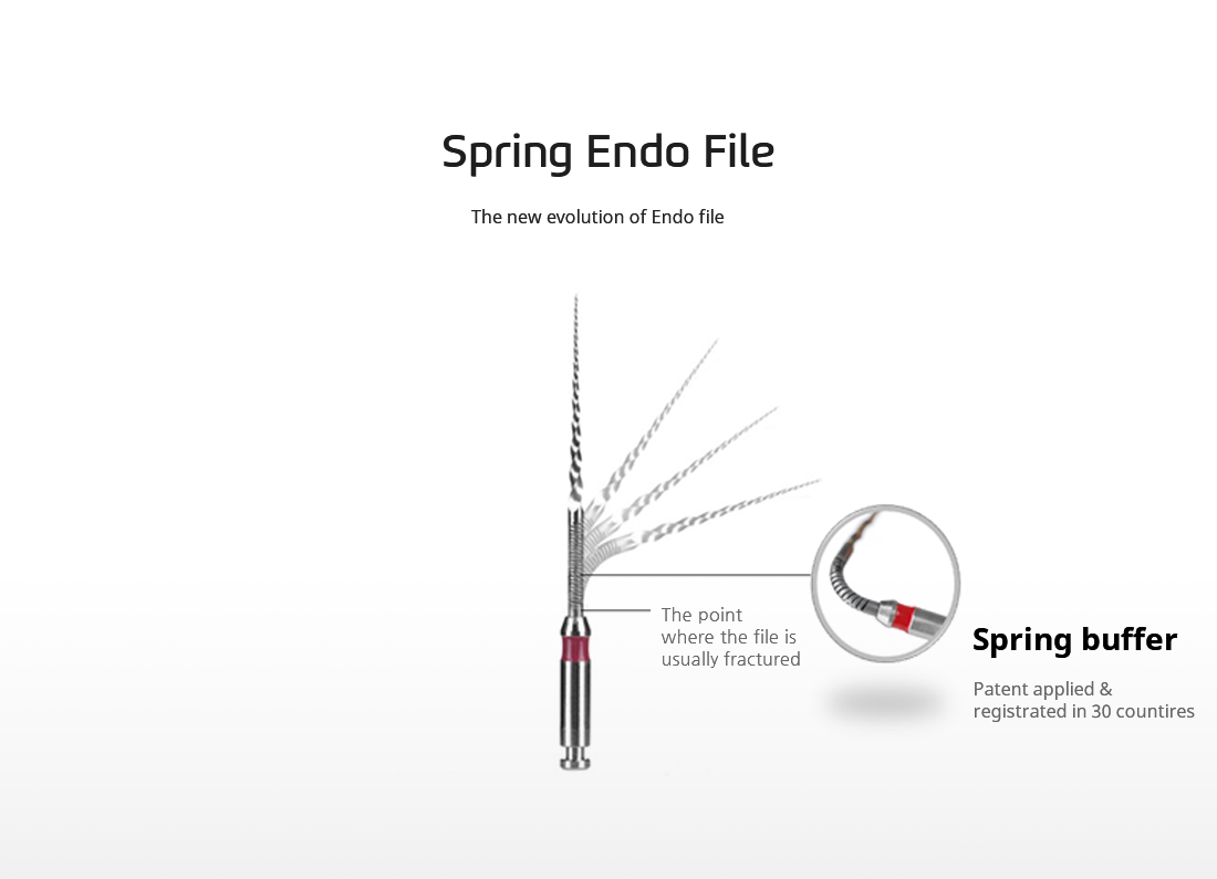 SpringEndo File Main Image