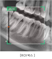 ROI 박스